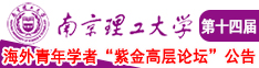 狂插女人小穴视频南京理工大学第十四届海外青年学者紫金论坛诚邀海内外英才！